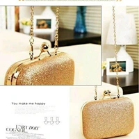 Party Wear Clutches