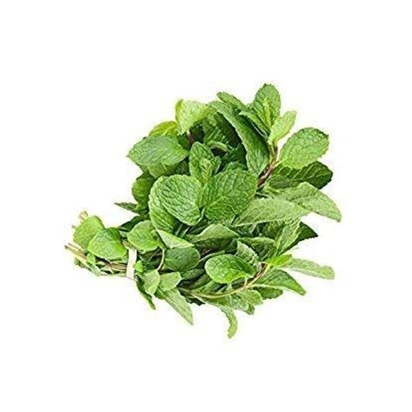 Pudina(Mint) - 100gm