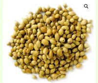 Coriander (Dhaniya) - 250gm