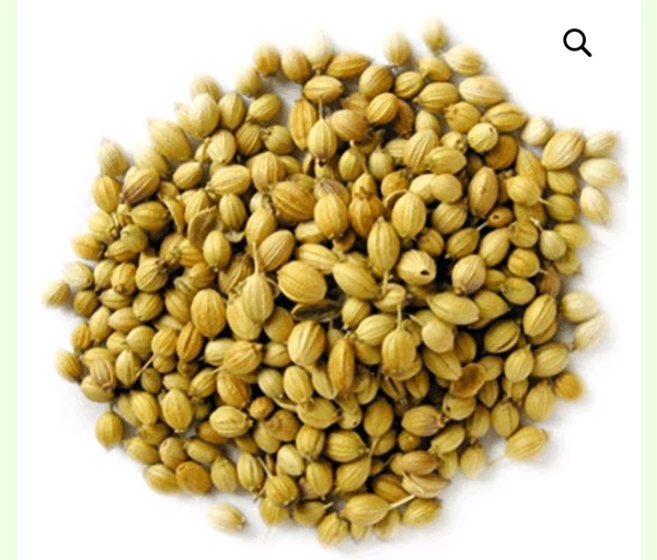 Coriander (Dhaniya) - 250gm
