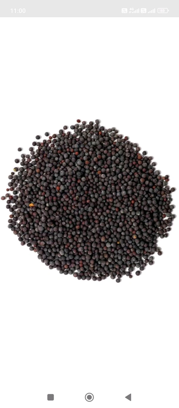 Mustard Black (Sarso) - 100gm