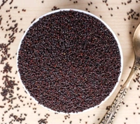 Mustard Black (Sarso) - 100gm