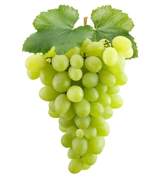 GRAPES - 1kgs