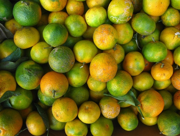 ORANGE - 1kgs