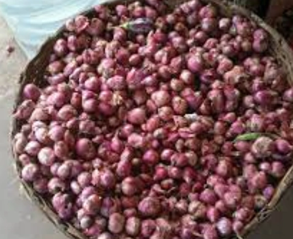 Sambar onion : 1 Pack (1kg)
