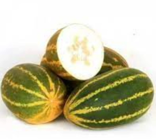 Sambar Cucumber : 1 Piece (600gms To 900gms)