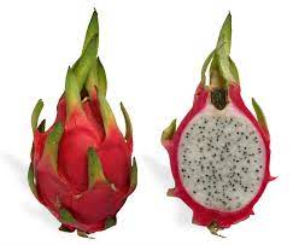 Dragon fruit : 1 No