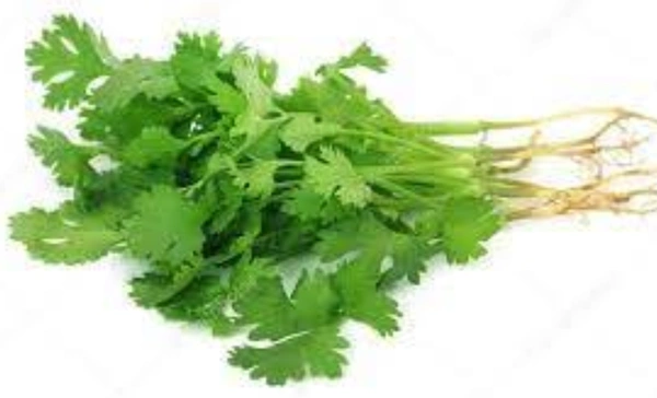 Coriander Nati : 1 bunch