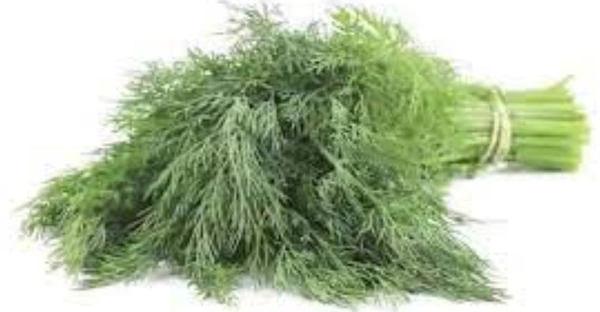 Sabbaki (Dill) : 1 bunch