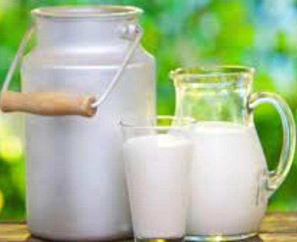 Organic Cow milk 500 ml
