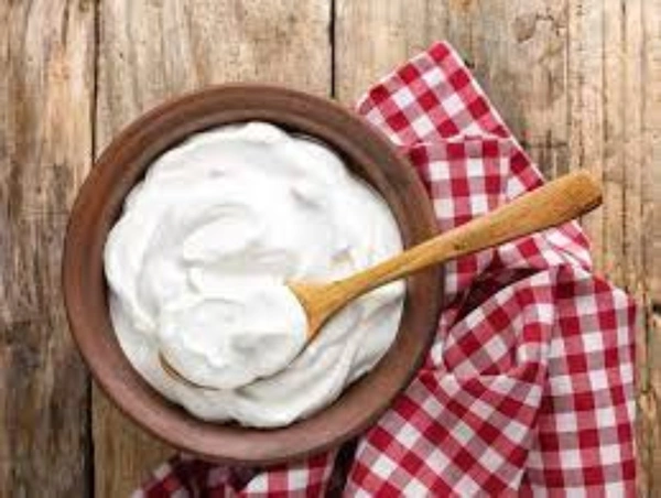 Organic Set curd 500 gms