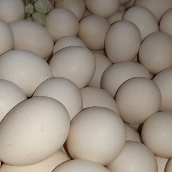 Egg - Natti (Desi) Minimum 6