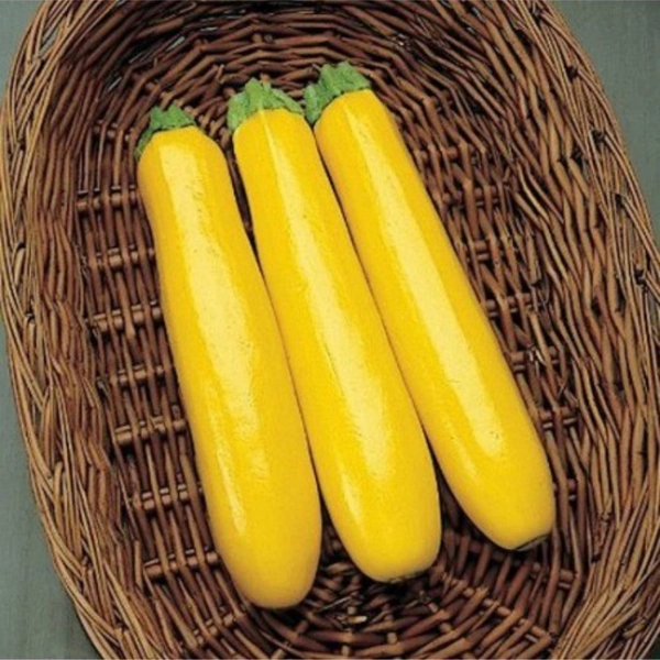 Zucchini Yellow - 500gms