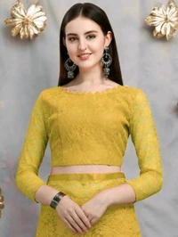 Brasso Net Yellow Beads & StonesSaree With Blouse. Brasso net saree is a stunning blend of traditional charm and contemporary elegance.  - Free Size