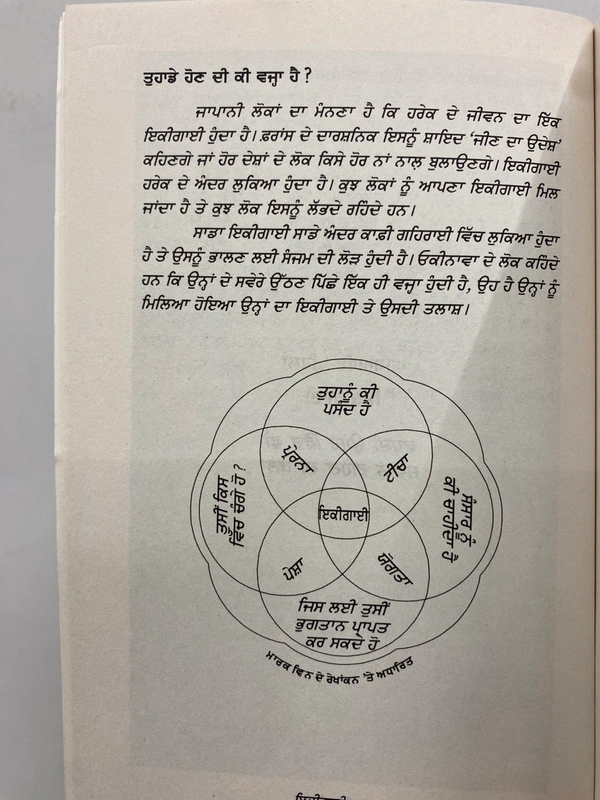 Chetna Publication ਇਕੀਗਾਈ ॥ Ikigai