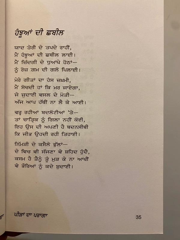 New Book Company ਪੀੜਾਂ ਦਾ ਪਰਾਗਾ ॥ Peerran Da Paragha