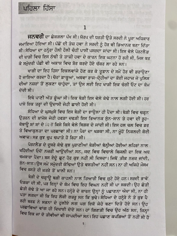 New Book Company ਪਤਝੜ ਦੇ ਪੰਛੀ ॥ Patjhar De Panchhi