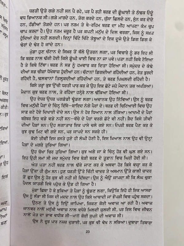 New Book Company ਪਤਝੜ ਦੇ ਪੰਛੀ ॥ Patjhar De Panchhi