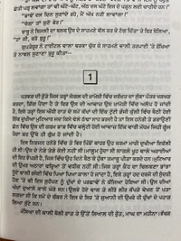 New Book Company ਚਿੱਟਾ ਲਹੂ ॥ Chitta Lahoo