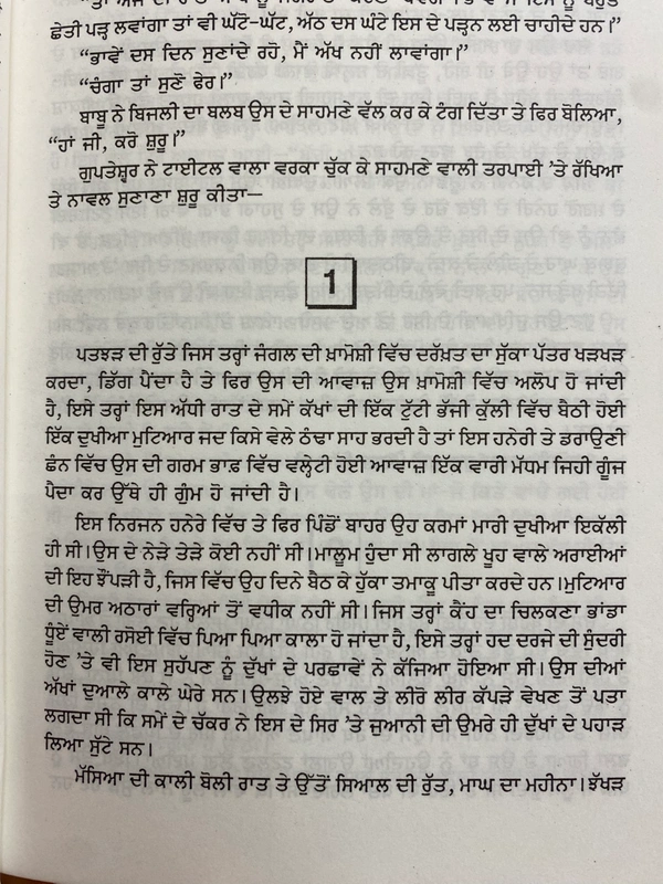 New Book Company ਚਿੱਟਾ ਲਹੂ ॥ Chitta Lahoo