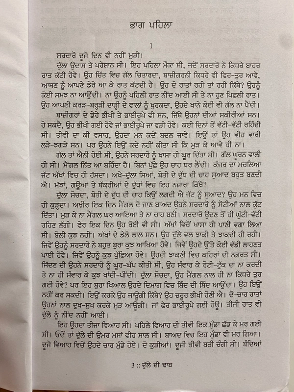 Autumn Art Publication  ਦੁੱਲੇ ਦੀ ਢਾਬ ॥ Dulle Di Dhab