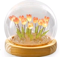 DHARAent. Tulip Night Light LED Decorations Lamp,Glass Artificial Tulip-s Bedroom Flower Table Lamp,Birthday Mothers Day Gifts for Girlfriend Mom Women Her Wife Sister GirlsName: DHARAent. Tulip Night Light LED Decorations Lamp,Glass Artificial Tulip-s Bedroom Flower Table Lamp,Birthday Mothers Day Gifts for Girlfriend Mom Women Her Wife Sister GirlsMaterial: CrystalIs Assembly Req