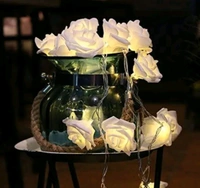 14 Led White Big rose String LED Fairy Lights for Home and Outdoor (3 m, Warm White)