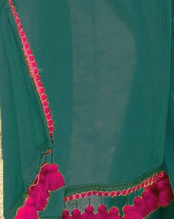 Trending Bollywood Saree With Fancy Lace