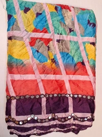 MIRROR Border MULTI Colours Fancy Saree