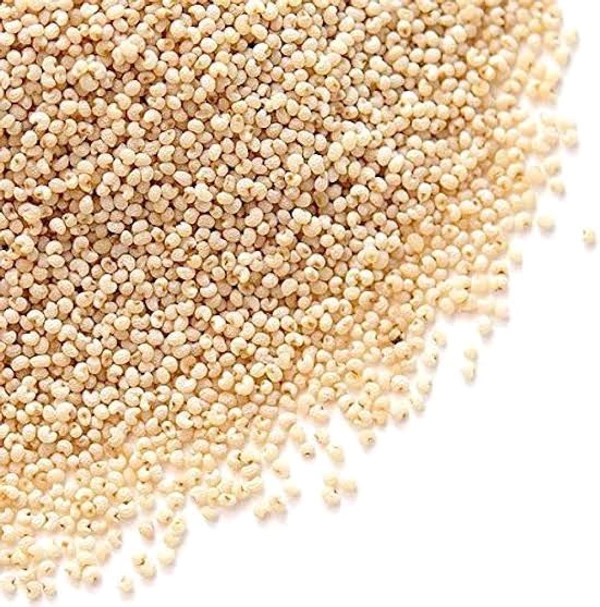 Posta Dana 100 Gram  - 100 Gram