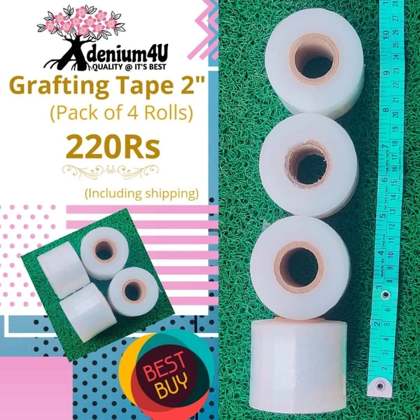 2" GRAFTING TAPE  - 4 Rolls