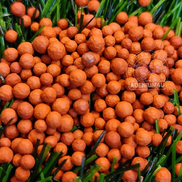 Clay pellets / LECA Pellets A+ Grade - 10 Kilogram Pack