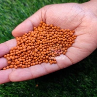 Clay pellets / LECA Pellets A+ Grade - 10 Kilogram Pack