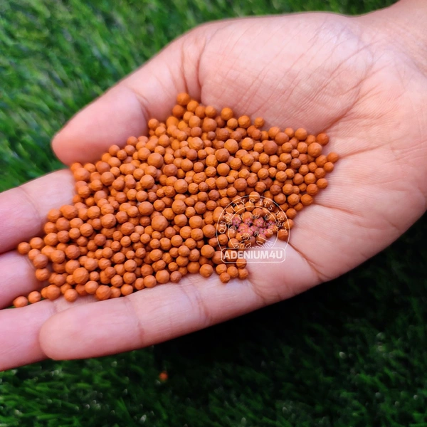 Clay pellets / LECA Pellets A+ Grade - 10 Kilogram Pack