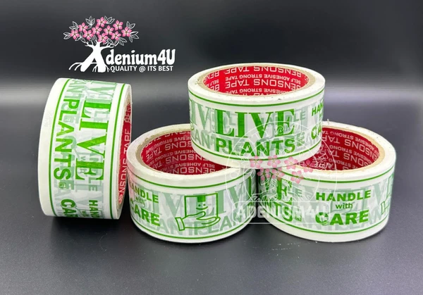 LIVE PLANT 2 Inch Packing Tape 50 Meter (6 Rolls) - 1 Bundle