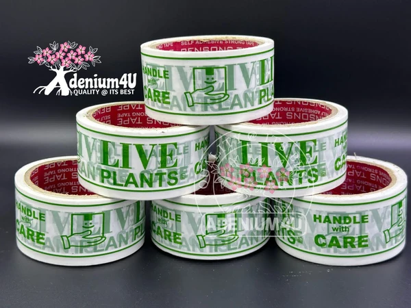 LIVE PLANT 2 Inch Packing Tape 50 Meter (6 Rolls) - 1 Bundle