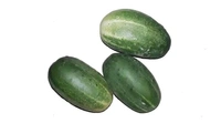 Cucumber (শসা) - 500gm