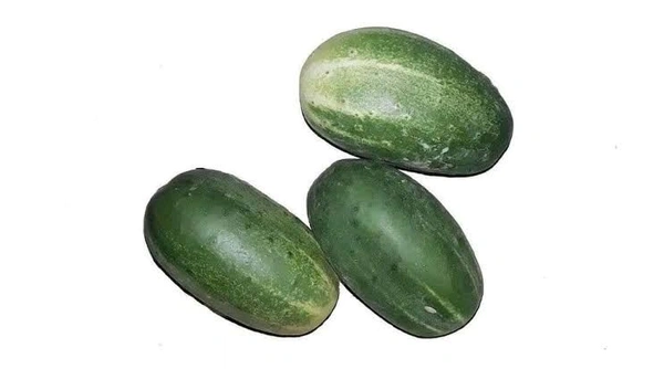 Cucumber (শসা) - 500gm