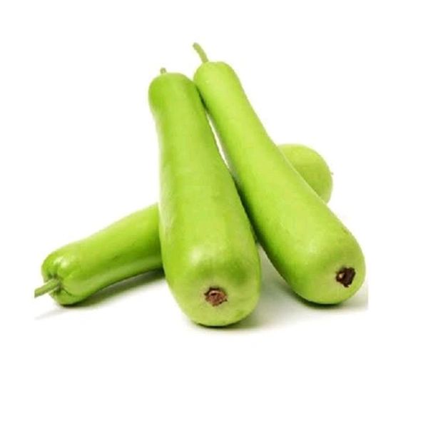 Bottle Gourd (লাও) - Lao - 1 PCS