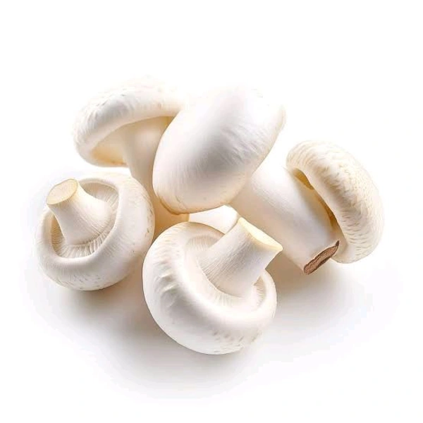 Button Mushroom 200gm PACK - 1 Pack