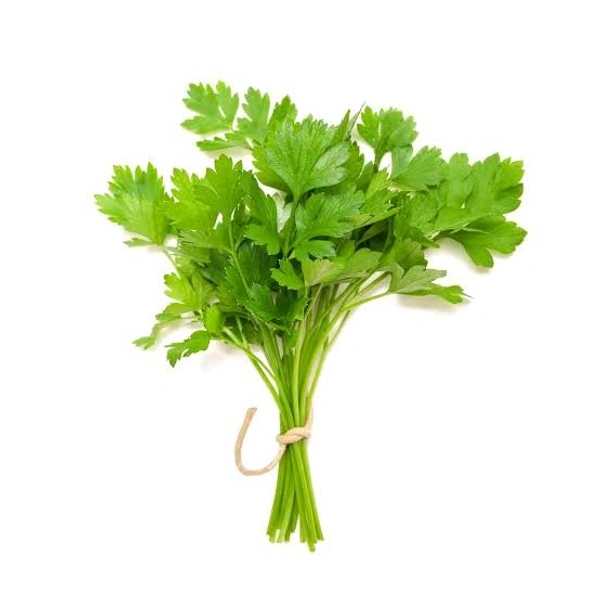 Coriander Leaves (Dhaniya Pata) - 100gm