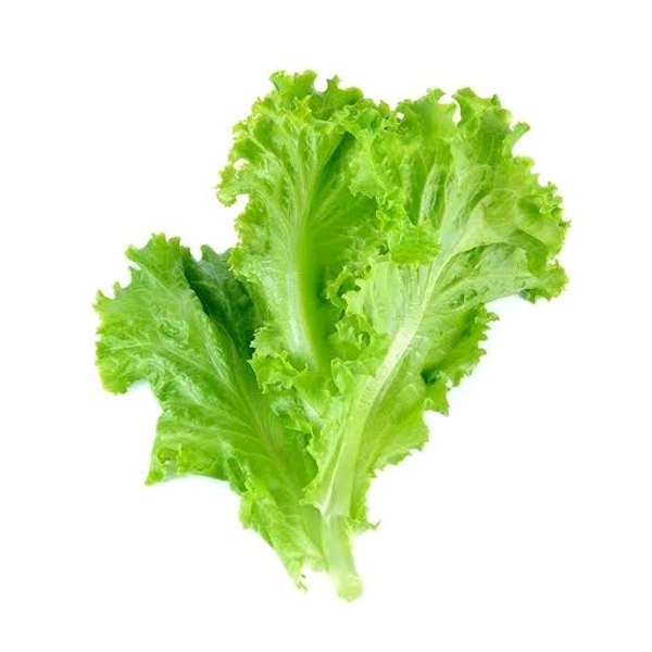 Fresh Lettuce Green - 300gm
