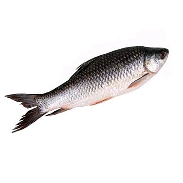 Local Rui Fish Cut Pieces (With Head & Tail) - (700-800)gm