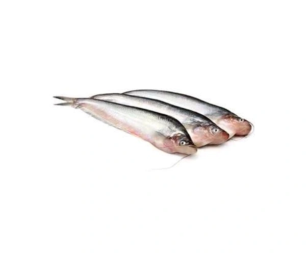 Pabda Fish - 500gm