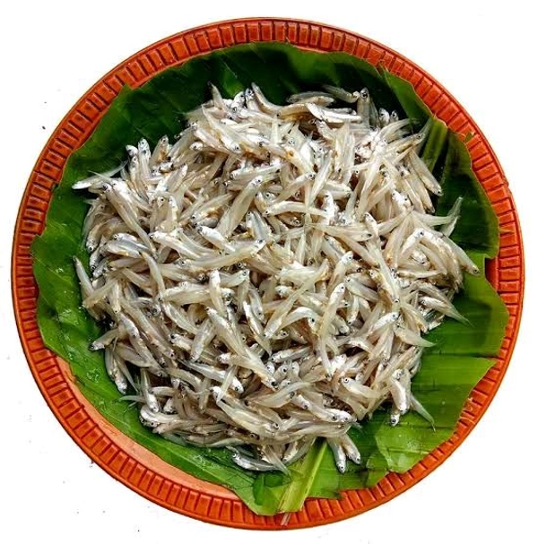 Kachki Fish - 500gm