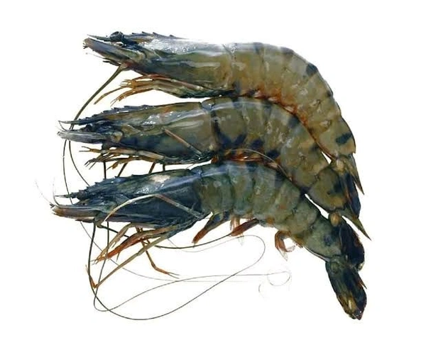 Golda Chingri Fish - 500gm