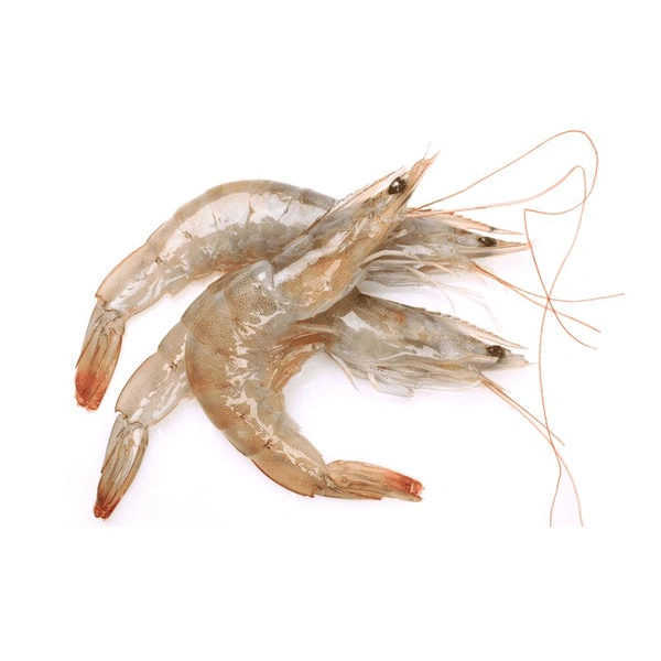 Chingri Fish - Medium Size - 300gm