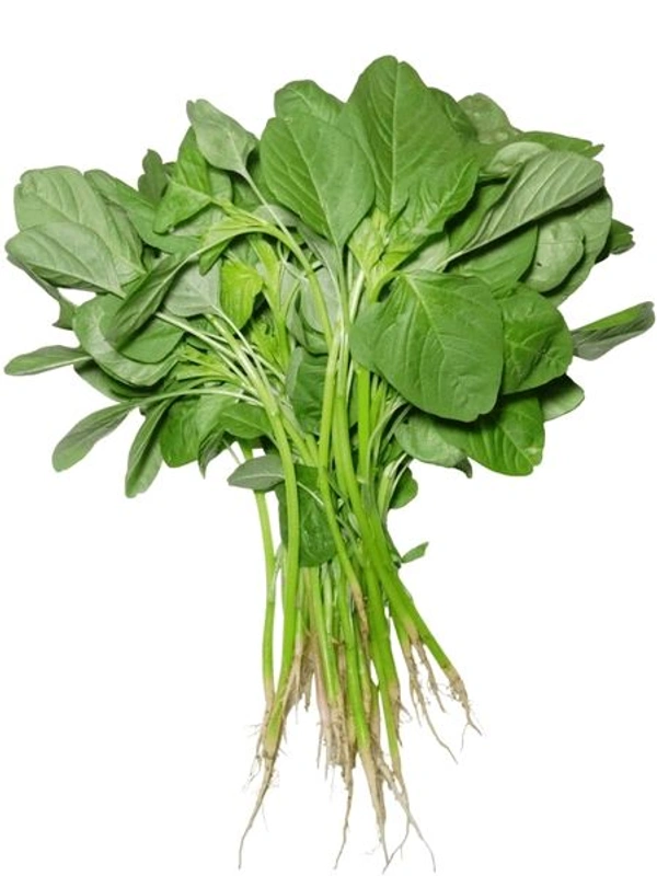 Data (1 Bunch)