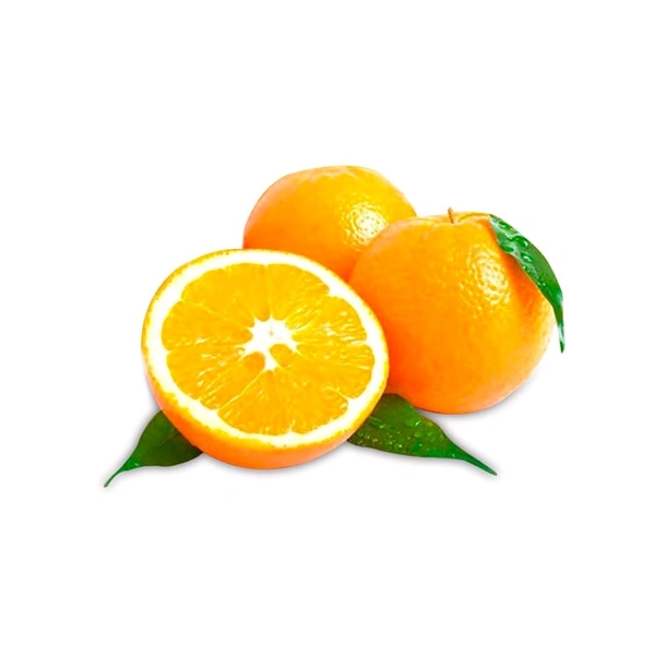 Malta 4 Pcs