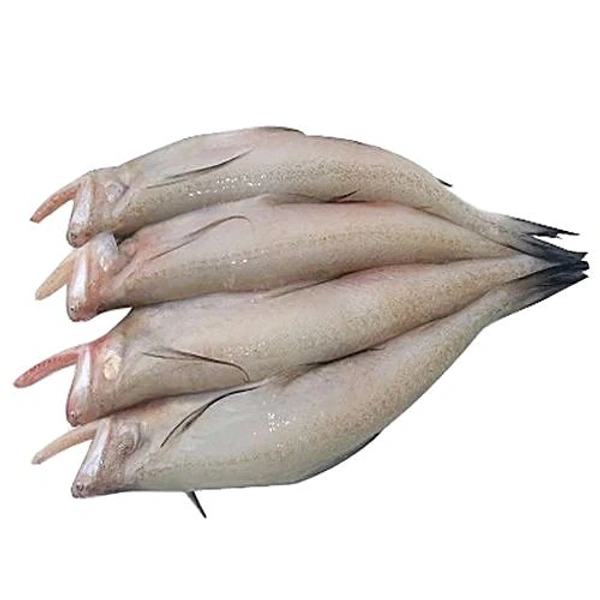 Lote Fish  - 500gm